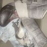 Women Vegan Leather Gray Bootie - Go Back to Being Yourself Design new in box size 41 Image 8