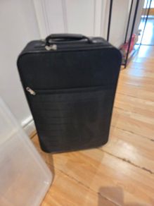 Cabin size case