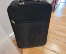 Cabin size case