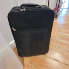 Cabin size case
