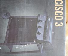 BBQ gas grill
