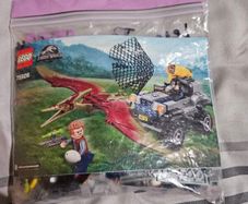lego jurassic world set