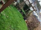 Tidy Garden service Image 3