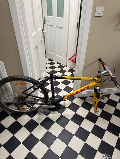 Giant boulder mountain bike