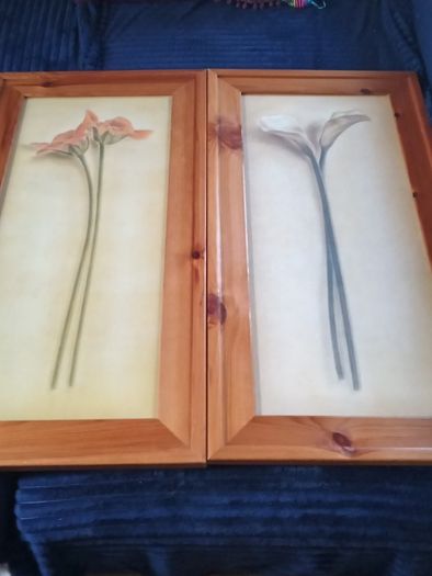 Beautiful Set of 2 Large Flower Pictures