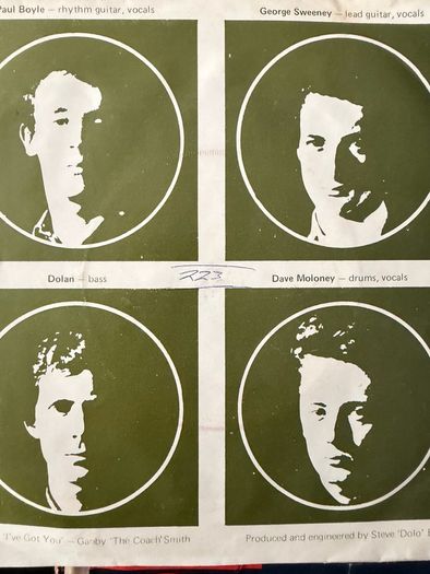 The Vipers Vinyl single Irish pressing