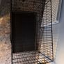 Pet Crate Image 3