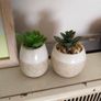 home decor Image 2
