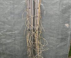 Rotating clothes drier with 4 arms, alimunium