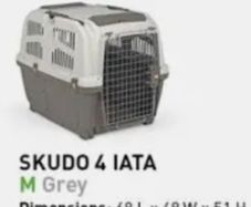 Small Dog Crate