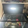 Fish tank Image 5