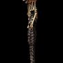 Evil dead Khandarian Dagger Trick or Treat Image 3