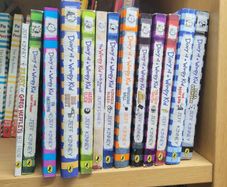 13 x Wimpy Kid Books