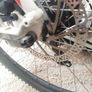 bike Image 5