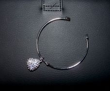 Bracelet with a Charm