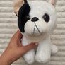 TY Beanie Baby Classic Marcel The French Bulldog 2019 approx. 20 cm. Used Please see photos Image 3