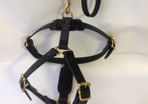 Medium leather dog harness