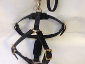 Medium leather dog harness