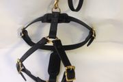 Medium leather dog harness
