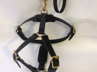main image for ad Medium leather dog harness
