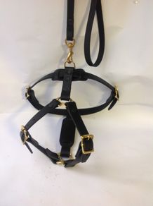 Medium leather dog harness