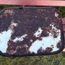 Vintage enamel bread bin Image 10