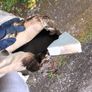 vw golf bonnet Image 3