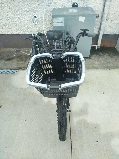 Electric trike