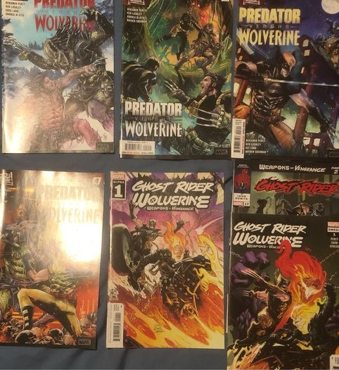 Wolverine 2020 Lot