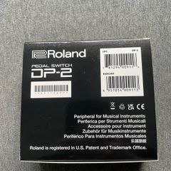 Roland dp-2 piano pedal
