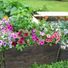 Planter1