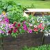 Planter1