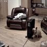 Leather suite Image 3