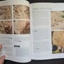 B00K_Wood Carving Basics Image 4