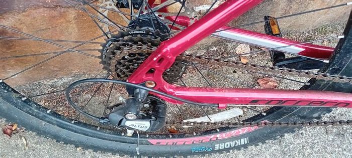 Carrera Mountain Bike