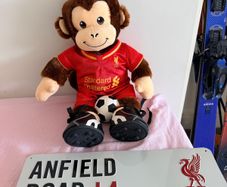Liverpool FC teddy and anfield road sign