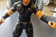 Wwe Toy