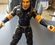 Wwe Toy