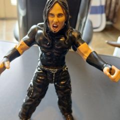 Wwe Toy