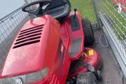 toro