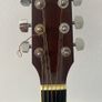 washburn guitar Image 3