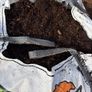 Bark Mulch Image 3