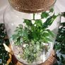 Forest in a jar H38 x W25cm Image 2
