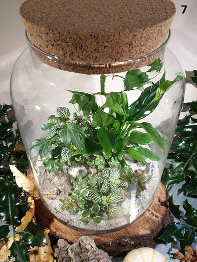 Forest in a jar H38 x W25cm