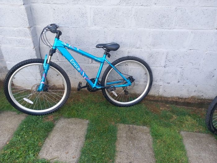 bikes