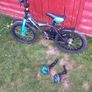 Kids 16 inch bike Image 8