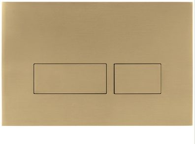 Clearance: MPRO Flush Plate - Brushed Brass