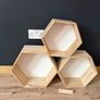 3 Hexagon Shelves Image 4