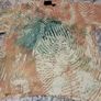 Adidas/Pharrell Collab t shirt size medium Image 7
