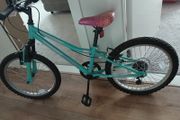 Bike apollo